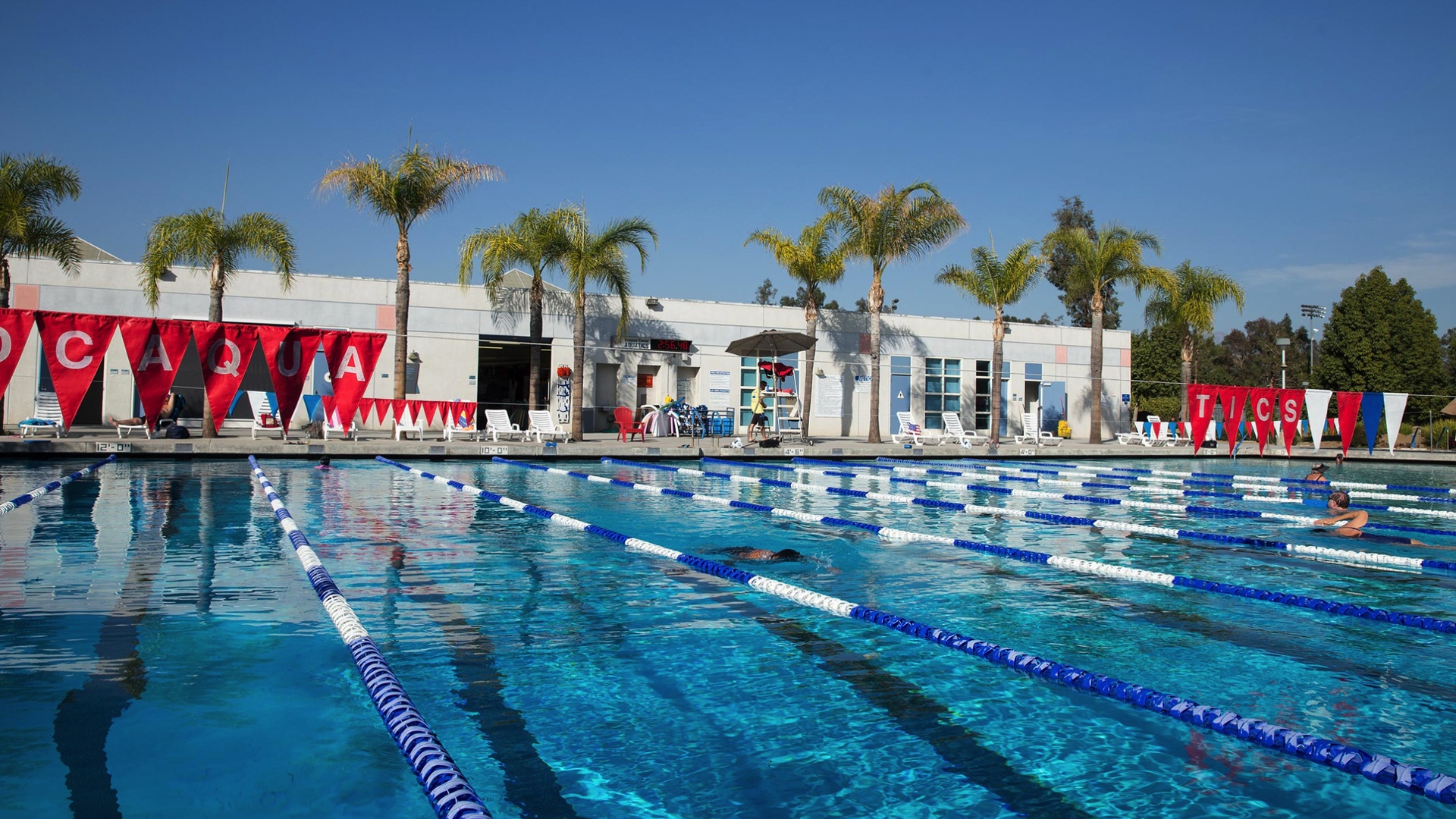 Aquatics  Drayson Center