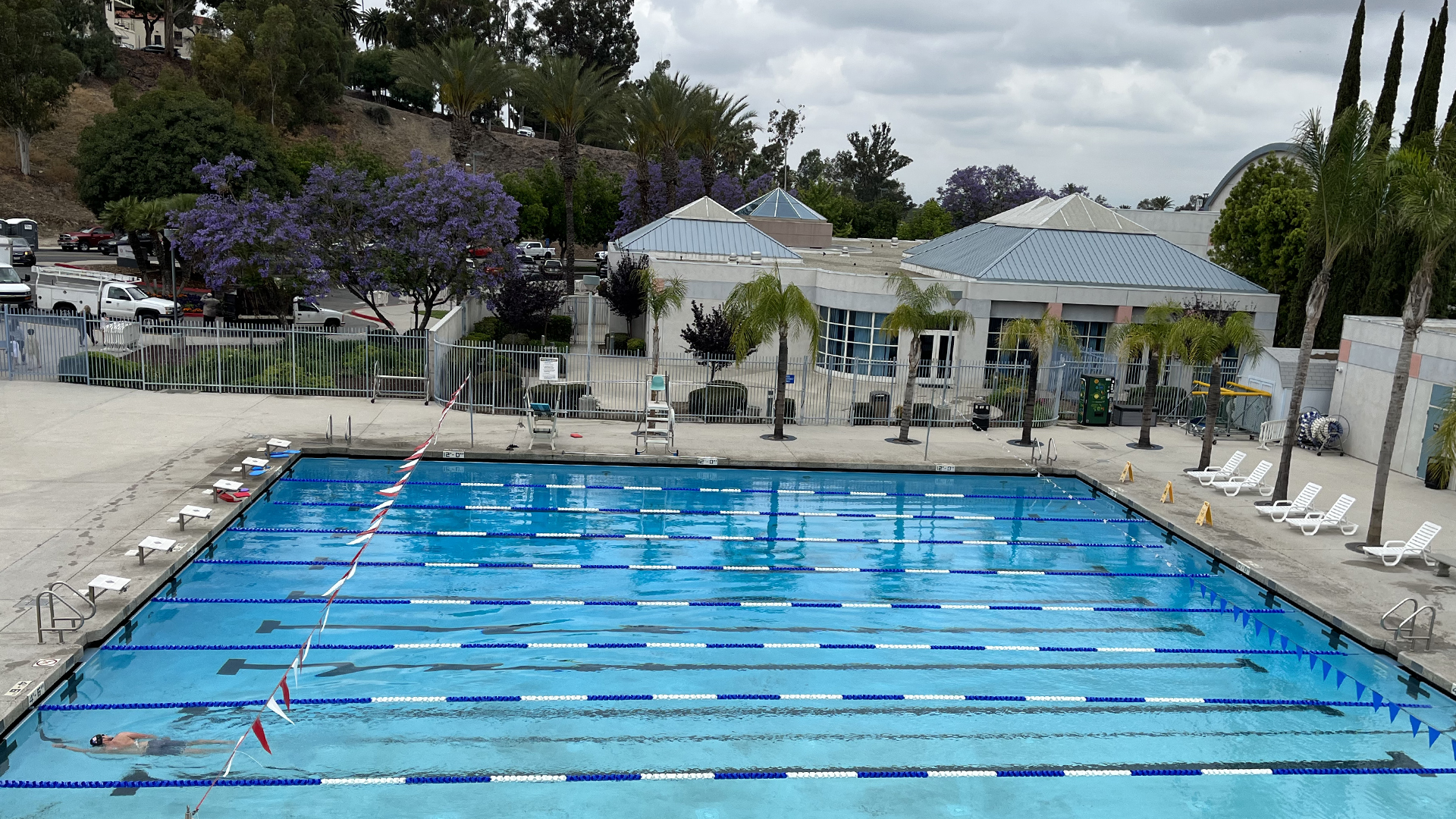 Lots to Celebrate in Aquatics—Including a Reopened Training Pool