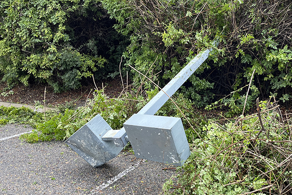 Light pole topples