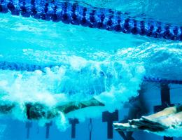 two people diving underwater