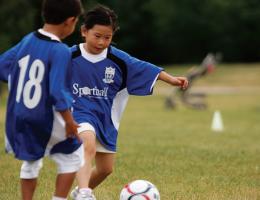 Sportball: Soccer