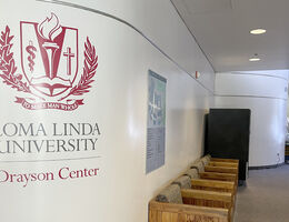 New wall logo