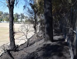 Superfield fire March 11, 2022